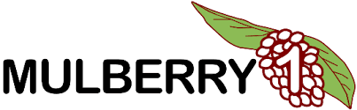 Mulberry 1